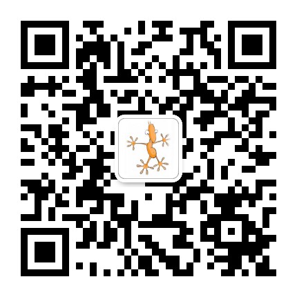 唐壁虎 微信公众号二维码